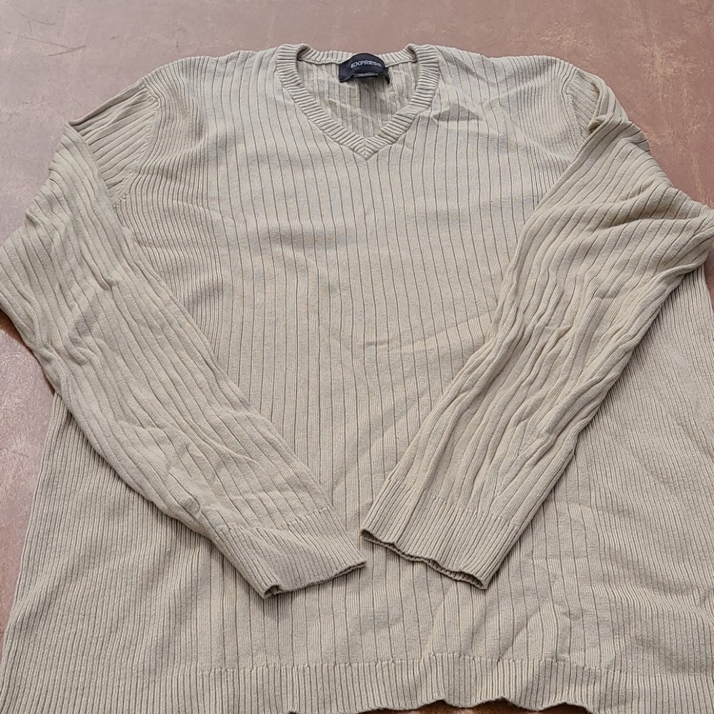 Express light weight sweater